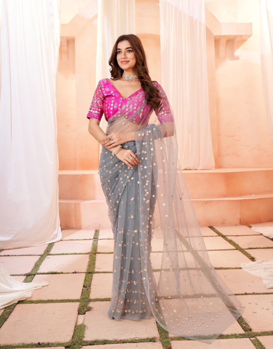 Saree in Heavy Butterfly Net