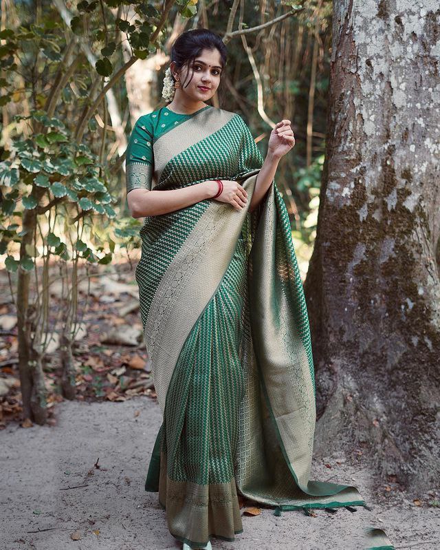 SOUTH SUPER HIT SAREE