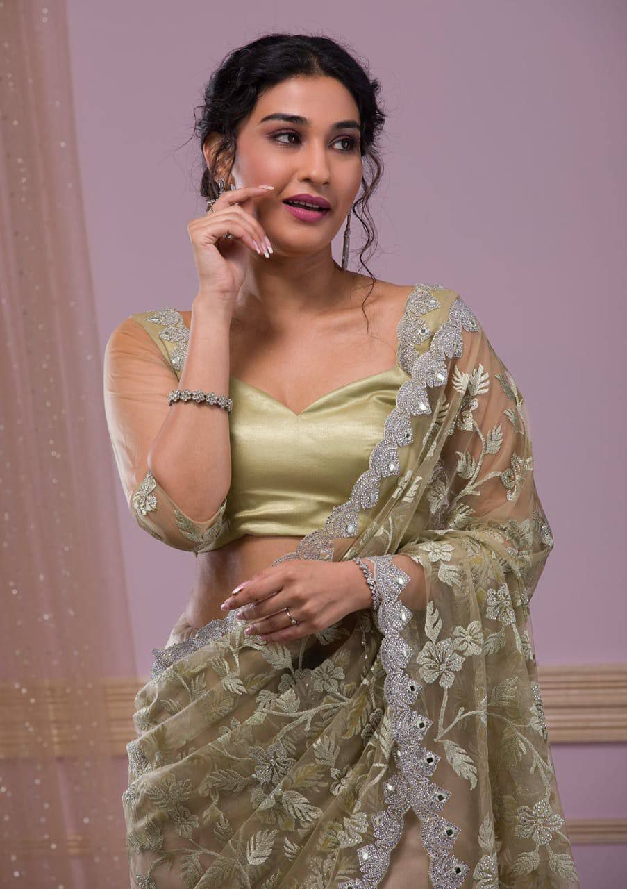 Soft Butterfly Net Saree