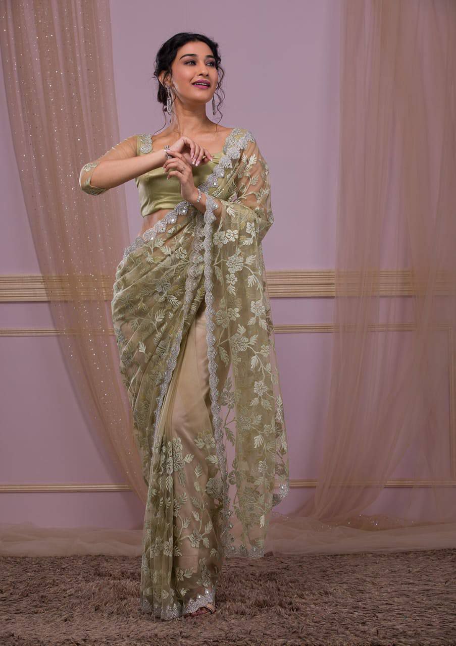 Soft Butterfly Net Saree