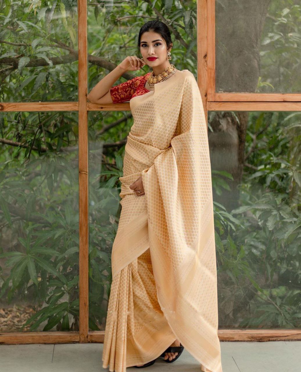 SOFT LICHI SILK CLOTH SAREE