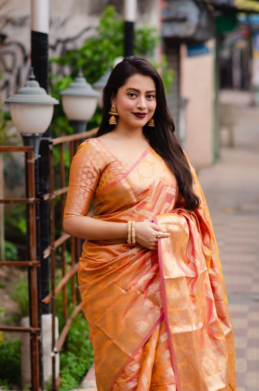 Soft Silk Banarasi Saree