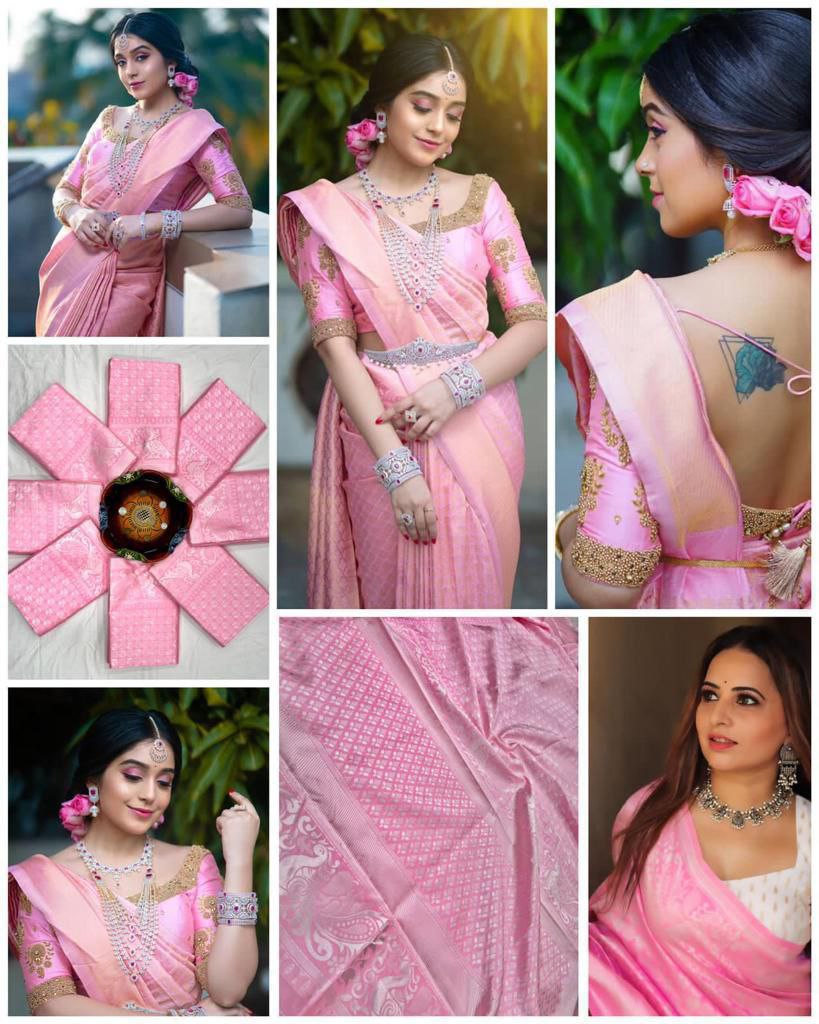 BEAUTIFUL RICH PALLU & JACQUARD WORK SAREE