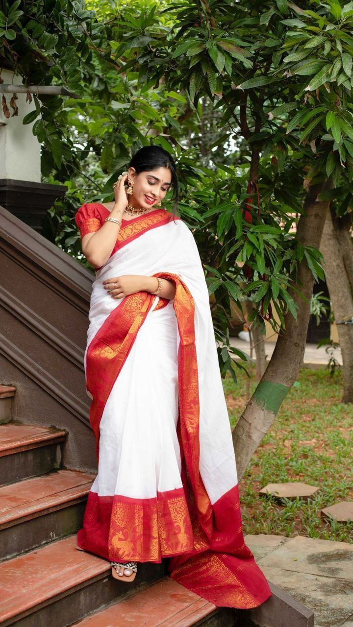 POOJA SPEACIAL & DIWALI FESTIVAL SPECIAL SAREE