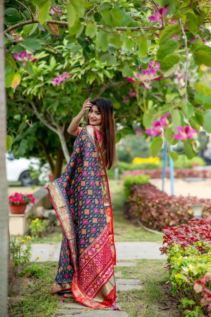 TRADITIONAL PATOLA SAREE