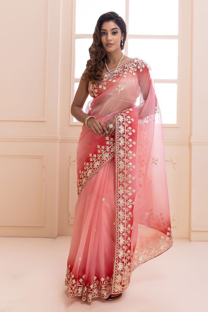 Butterfly Net Saree