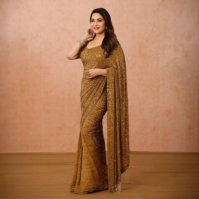 Bollywood MADHURI DIXIT Blockbuster Sequins Design Saree