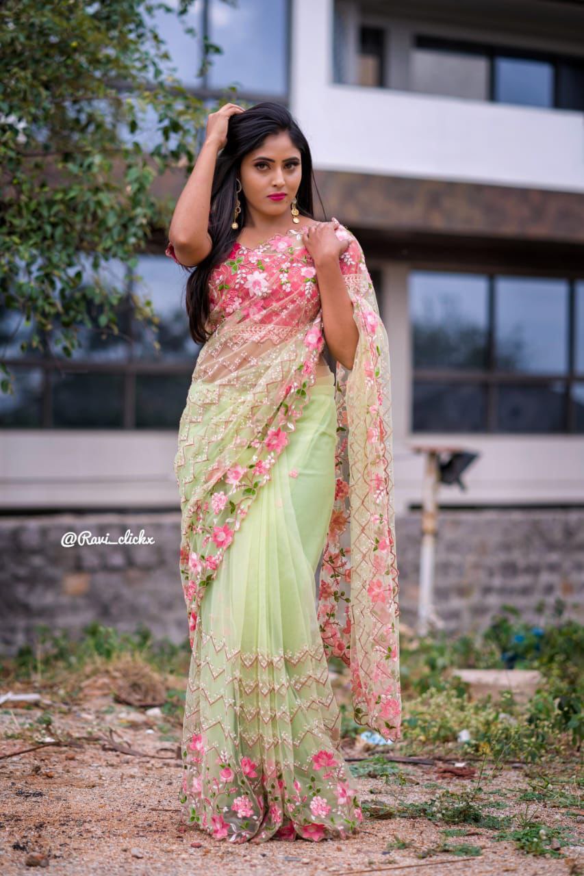 Premium Soft Net Embellished Saree